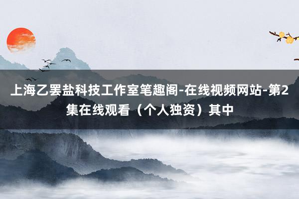 上海乙罢盐科技工作室笔趣阁-在线视频网站-第2集在线观看（个人独资）其中