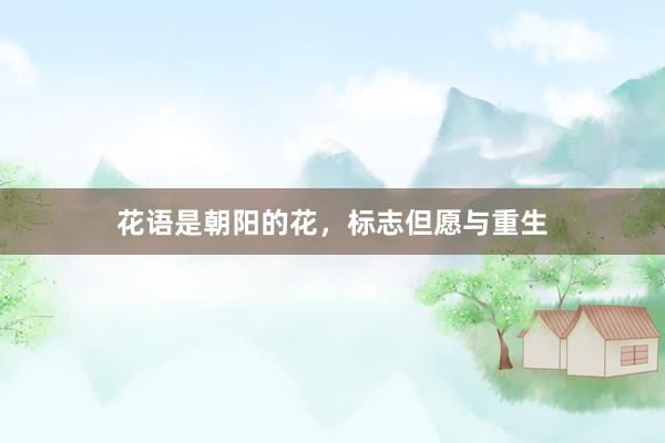 花语是朝阳的花，标志但愿与重生