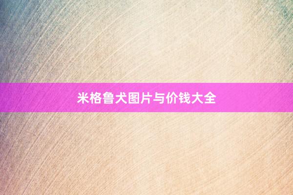 米格鲁犬图片与价钱大全