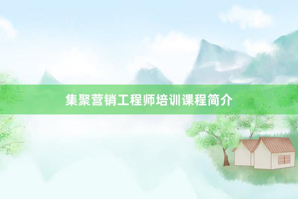 集聚营销工程师培训课程简介